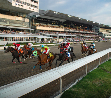 Imagen relacionada 2